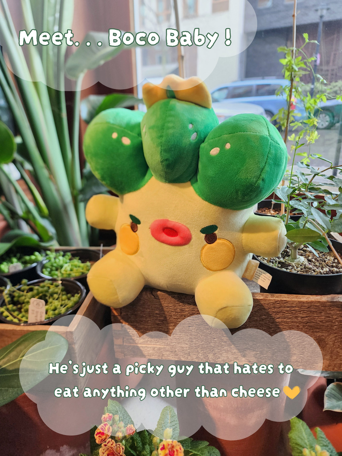 King Boco Baby Plushy